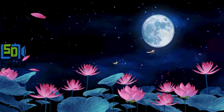 揭秘石代科技5D全息作品《花的轮回》(图2)