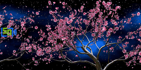 揭秘石代科技5D全息作品《花的轮回》(图4)